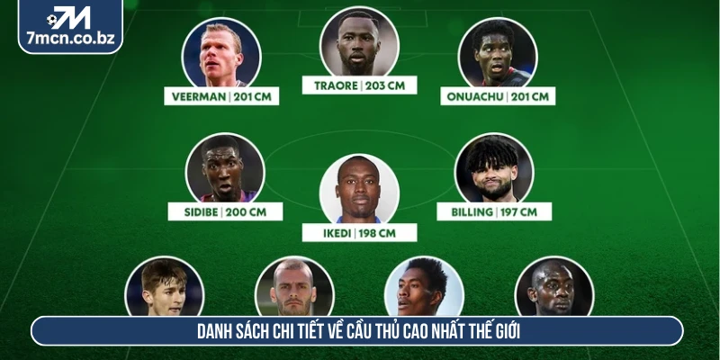 Danh sách chi tiết về cầu thủ cao nhất thế giới