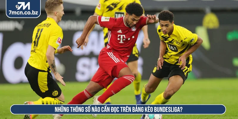 Kèo Bundesliga - Phân Tích Tỷ Lệ Kèo Và Đặc Điểm Trận Đấu 2 Mỗi thông số trong bảng kèo cung cấp một thông tin riêng